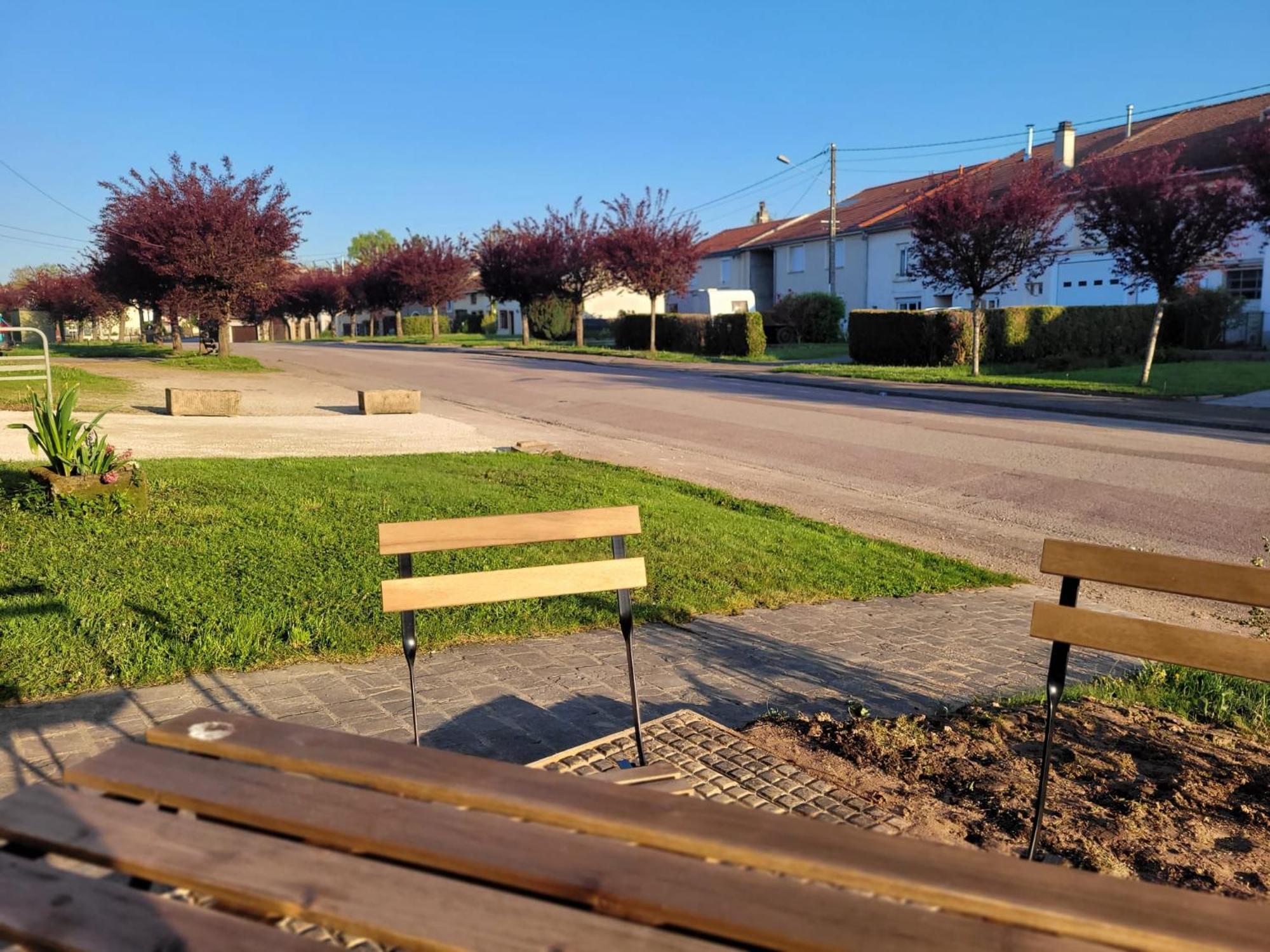 Gite Coeurdacier Monthureux-sur-Saone Экстерьер фото